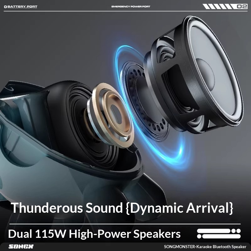 SONGX Audio Dual Microphone Du - огляд і ціна Bluetooth Speaker